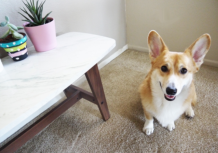 Home Decor Inspiration: 1 Coffee Table, 3 Ways